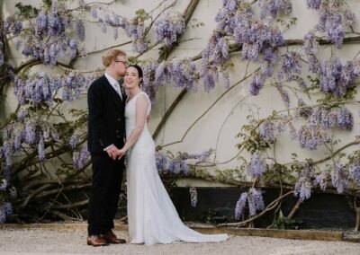 Wisteria Photo